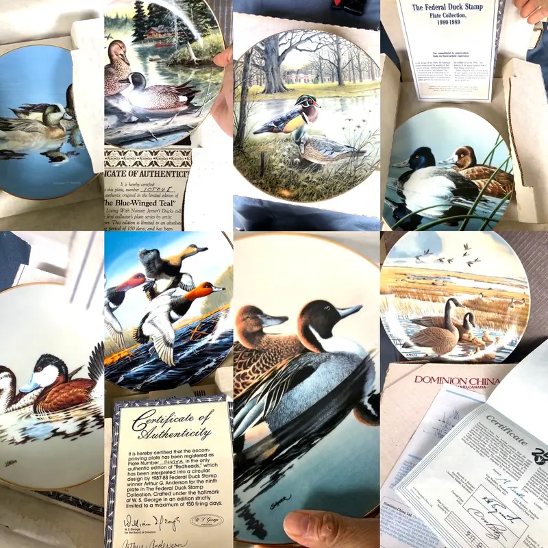 Collectible Set Of 8 Duck-Themed Commemorative Plates – Ws George & Knowles, Original Packaging Included 1