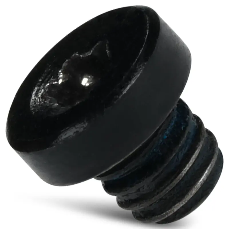 Lander 1 Replacement Scale Screw – Matte Black Hardware 1