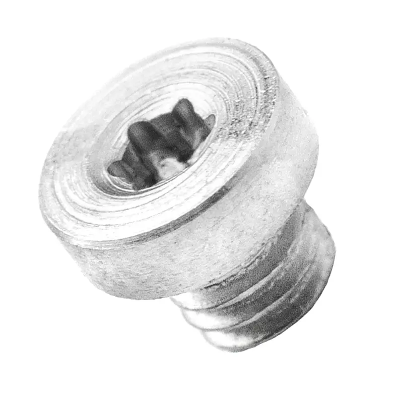 Lander 1 Scale Screw – Satin Finish Mounting Hardware 1