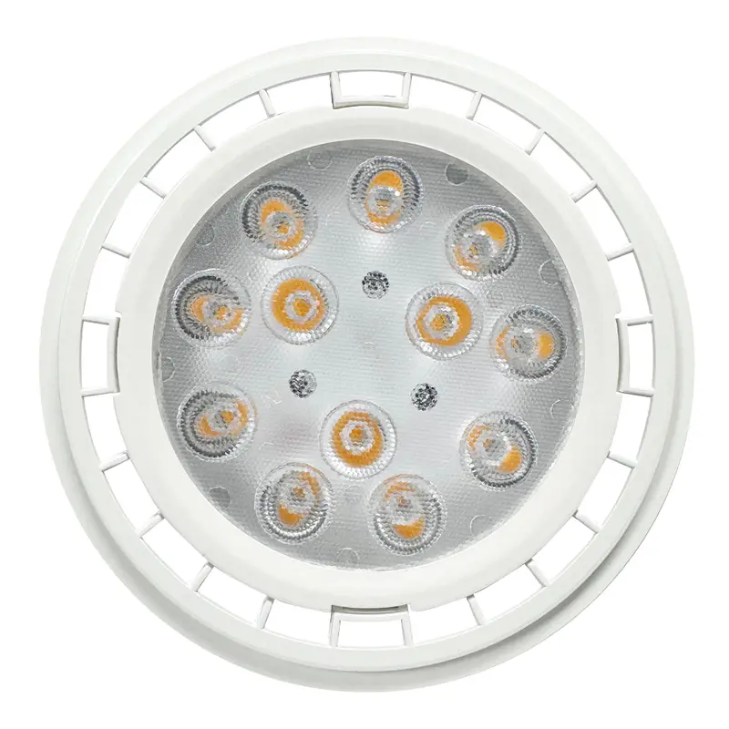 Par36 12V Waterproof Led Landscape Flood Light – 12W, 60° Beam, Ac/Dc Compatible, Outdoor Rated 1